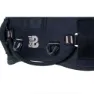 Beal Ceinture Styx Kompletter Gurtzeug, Purple, One Size