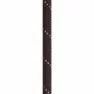 Beal Raider 11 Mm Seil