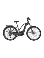 Bergamont E-Horizon Premium Expert Lady shiny cassis red 28" 750 Wh Trapez Bergamont E-Horizon Premium Expert Lady shiny cassis red 28" 750 Wh Trapez