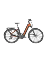 Bergamont E-Ville SUV Tour shiny dirty orange 28" 625 Wh Wave Bergamont E-Ville SUV Tour shiny dirty orange 28" 625 Wh Wave