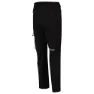 Berghaus Mtn Guide Alpine Hosen