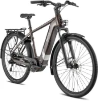 BESV TR 1.3 metallic umbra 28" 630 Wh Diamant BESV TR 1.3 metallic umbra 28" 630 Wh Diamant