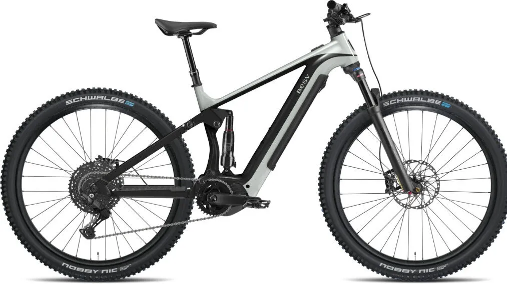 BESV TRS 130 1.3 slate gray 29" 708 Wh Diamant BESV TRS 130 1.3 slate gray 29" 708 Wh Diamant