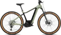 BESV TRX-B 1.1 jade green 29" 750 Wh Diamant BESV TRX-B 1.1 jade green 29" 750 Wh Diamant