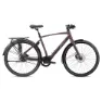 BH Bikes Core Cross Pro Bhz 700c Alfine 2025 Elektrofahrrad