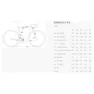 BH Bikes Gravelx R 5.5 28`` Grx 820 2025 Gravelbike