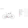 BH Bikes Irs1 Carbon 1.5 105 Di2 2025 E-rennrad
