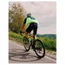 Bicycle Line Stelvio Weste