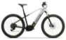 Bionicon JAMES 2 silver / black 29" 750 Wh Diamant, Hersteller-silver / black, 38cm