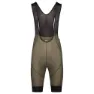 Olive 1