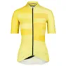Slice lemon