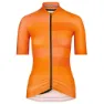 Slice orange 2