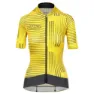 Warp yellow