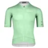 Icy green 1