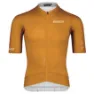 Rusty ochre 1