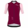 Bordeaux / pink
