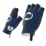 Bioracer Ineos Grenadiers Summer Kurze Handschuhe, Ineos grenadiers / navy blue