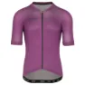 Purple 2