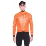 Fluo orange