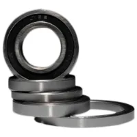 BLACK BEARING Ceramic Lager BLACK BEARING Ceramic Lager