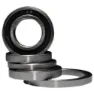 BLACK BEARING Ceramic Lager