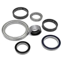 BLACK BEARING Lager BLACK BEARING Lager