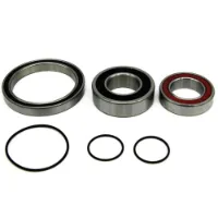 BLACK BEARING Perline/cx Lager BLACK BEARING Perline/cx Lager