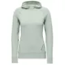 Black Diamond Alpenglow Kapuzenpullover, Agave