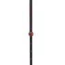 Black Diamond Carbon Whippet Stock 1 Einheit, Gray / black / orange, 100-140cm