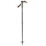 Black Diamond Carbon Whippet Stock 1 Einheit, Gray / black / orange, 100-140cm