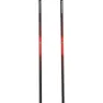 Black Diamond Pursuit Carbon Z Stöcke