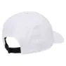Black Diamond Synthetic Dad Kappe