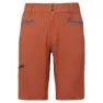 Burnt sienna