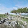 Bollé Adapt Pure Mips Mtb-helm