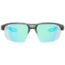 Bollé Victus Pro Photochrome Sonnenbrille