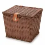 Brown 1