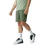 Swamp green