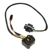 Bosch Kabel für den Akku Powertube BDU2XX - BDU3XX - BDU4XX BCH281 Unisex Bosch Kabel für den Akku Powertube BDU2XX - BDU3XX - BDU4XX BCH281 Unisex