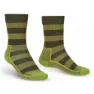 Green / dark green