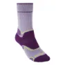 Lilac / purple