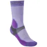 Purple / dark grey