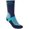 Navy / light blue