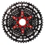 Brn Bib Light Kassette