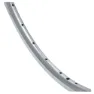 Brn Elan Felge, Silver, 700C-28" 36H