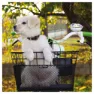 Brn Fido Korb, Black, One Size