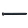 Brn M12xp1.5b118.5-t10.5 Steckachse, Black, 100mm