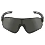 Brn Max Polarisierte Sonnenbrille, Black, Black Mirror/CAT3