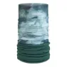 Barus silversage
