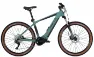Bulls Copperhead EVO 1 750 29 - 29 Zoll 750Wh 10K Diamant, Grün, 54cm