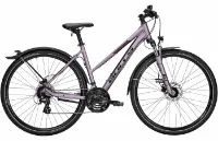 Bulls Cross Bike Street - 28 Zoll 24K Trapez